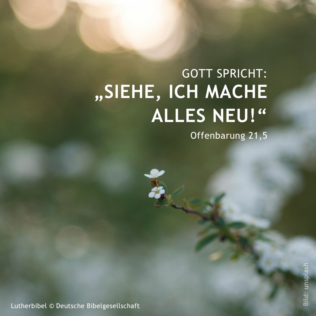 Jahreslosung 2026 "Siehe, ich mache alles neu!"